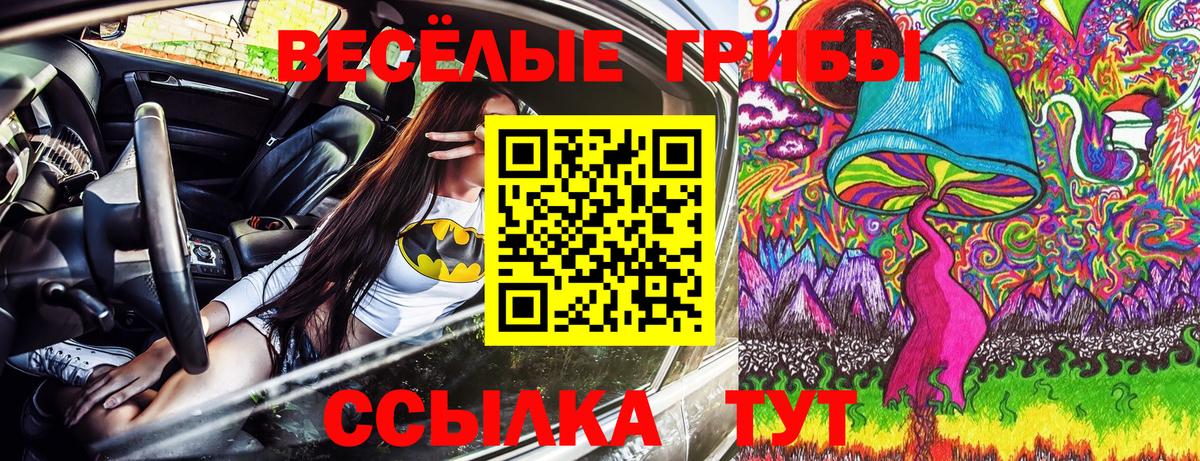 Галлюциногенные грибы Magic Shrooms  Вход с VPN  Галлюциногенные грибы MAGIC MUSHROOMS  Ялуторовск 